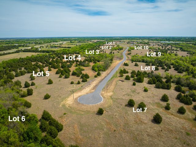 Lot 1 PR 291, Dodd City, TX 75438