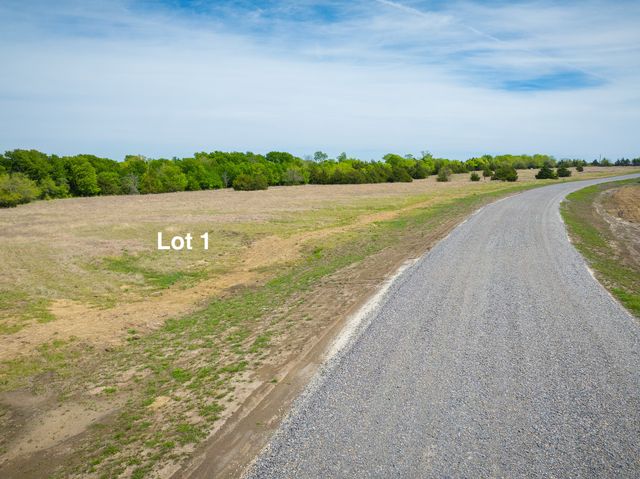 Lot 1 PR 291, Dodd City, TX 75438