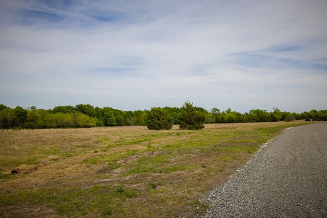 Lot 1 PR 291, Dodd City, TX 75438