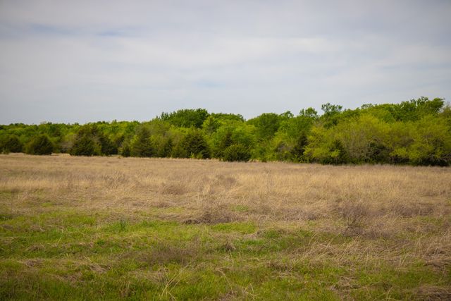 Lot 1 PR 291, Dodd City, TX 75438