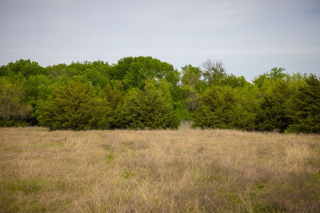 Lot 1 PR 291, Dodd City, TX 75438