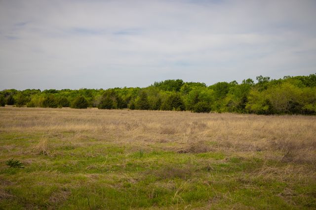 Lot 1 PR 291, Dodd City, TX 75438