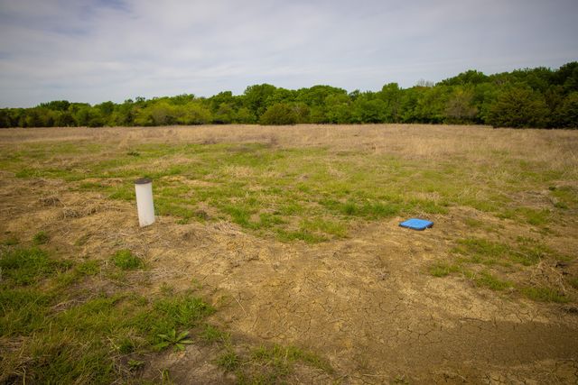 Lot 1 PR 291, Dodd City, TX 75438