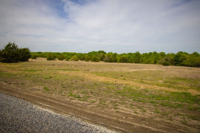 Lot 1 PR 291, Dodd City, TX 75438