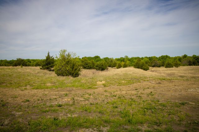 Lot 1 PR 291, Dodd City, TX 75438