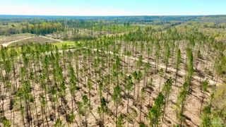 Lot 15-C Hwy 29, Molino, FL 32577