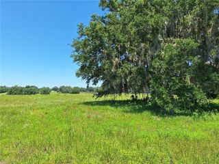 NW 154TH AVE. RD. #12, Morriston, FL 32668