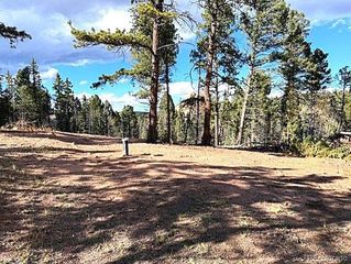 195 Oxford Place, Florissant, CO 80816