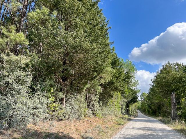 1 Cr 4300, Woodville, TX 75979