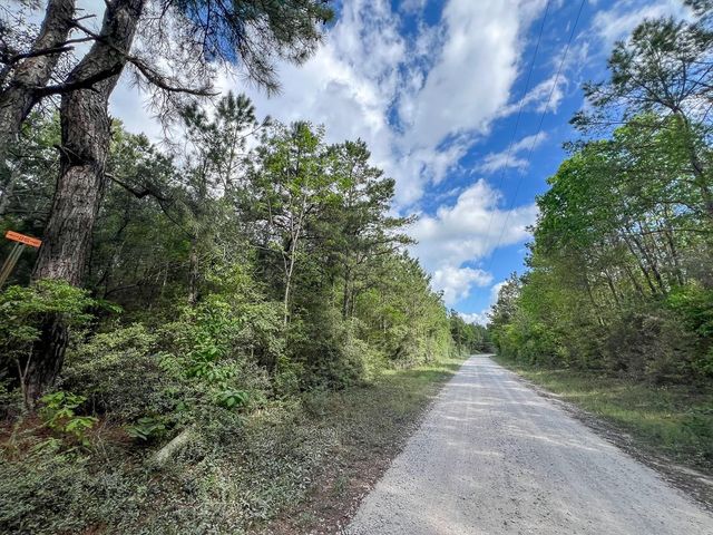 1 Cr 4300, Woodville, TX 75979