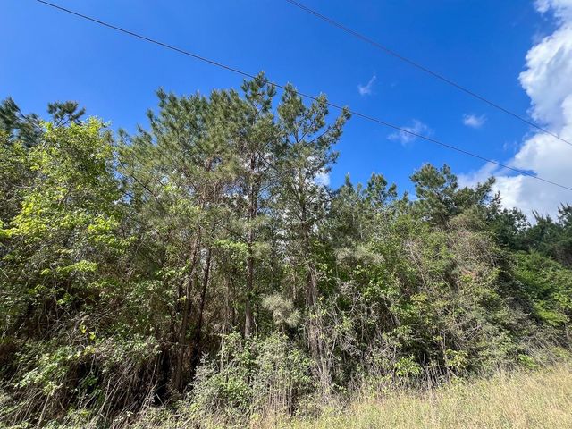 1 Cr 4300, Woodville, TX 75979