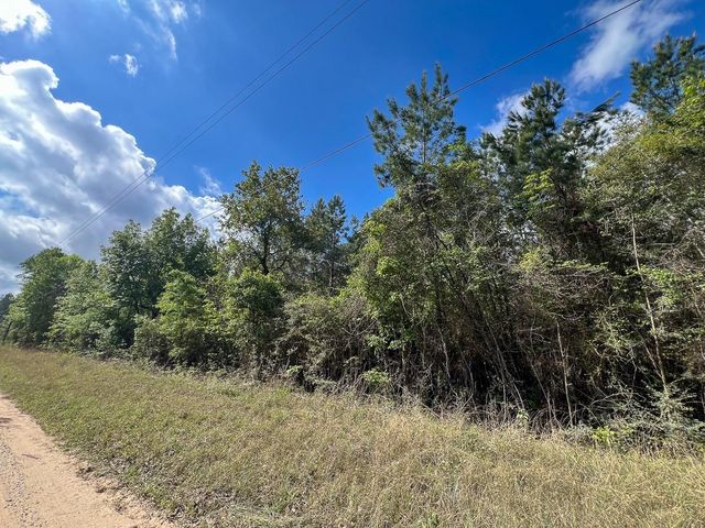 1 Cr 4300, Woodville, TX 75979