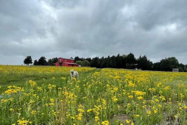 4046 Kurtz, Sealy, TX 77474