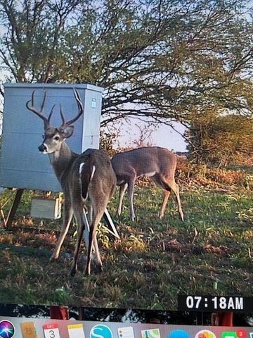 4046 Kurtz, Sealy, TX 77474