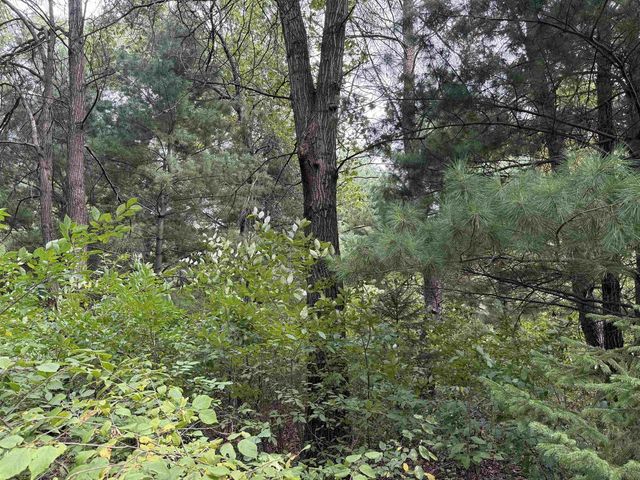 N8114 Baileys Boulevard, New Lisbon, WI 53950