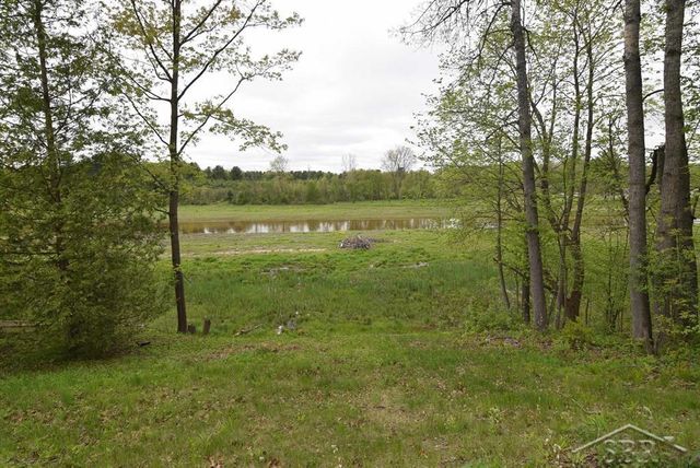 2114 Walter Road, Hay Twp, MI 48612