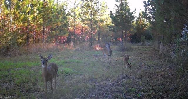 7848 NC Highway 47, Lexington, NC 27292