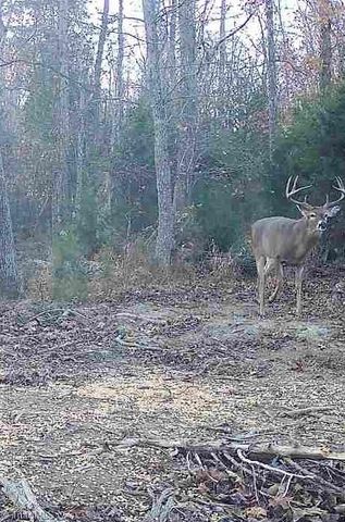7848 NC Highway 47, Lexington, NC 27292