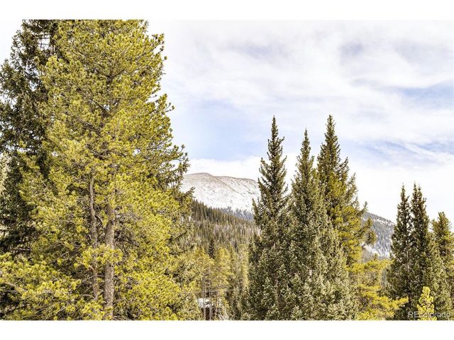 6270 Highway 9, Breckenridge, CO 80424