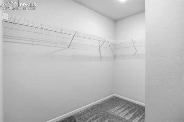 2240 Indian Balsam Drive, Monument, CO 80132