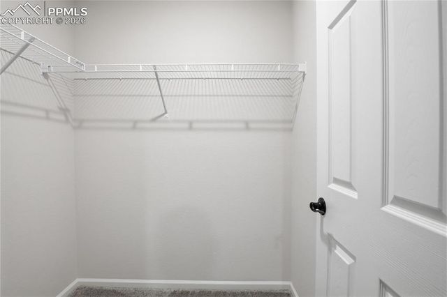 2240 Indian Balsam Drive, Monument, CO 80132