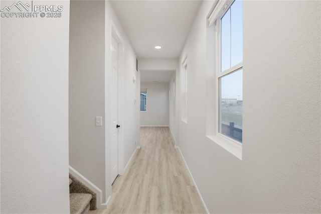 2240 Indian Balsam Drive, Monument, CO 80132