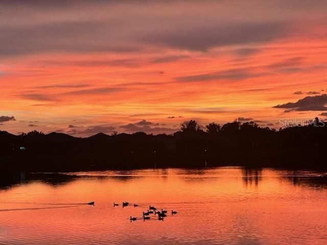4844 ANTRIM DRIVE, Sarasota, FL 34240