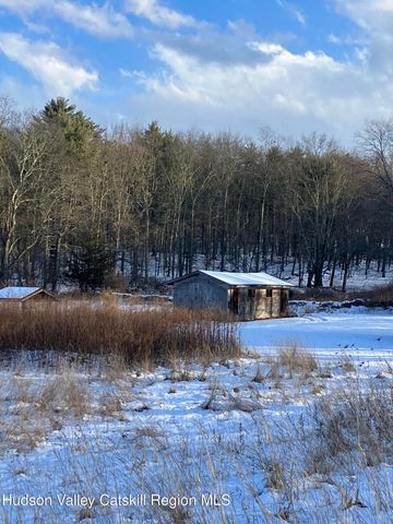 38 Bethel Ridge Road, Catskill, NY 12414