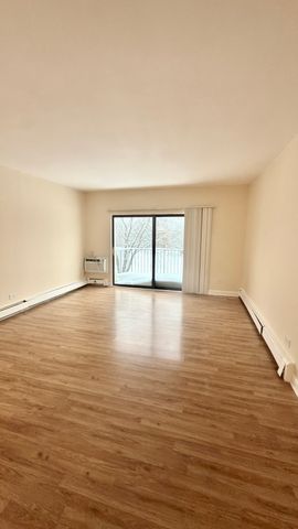 1453 N Winslowe Drive 303, Palatine, IL 60074