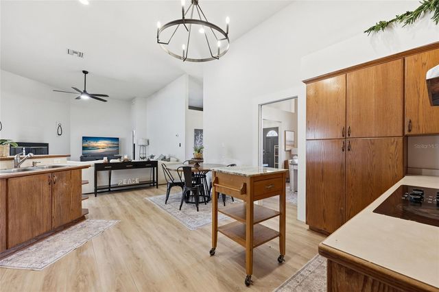 9115 NW 170TH STREET, Alachua, FL 32615