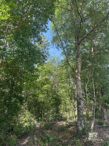 0 County Road 87, Robertsdale, AL 36567