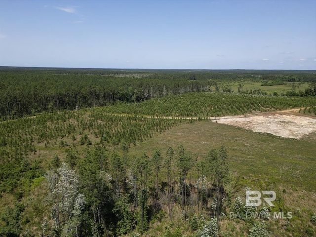 0 County Road 87, Robertsdale, AL 36567