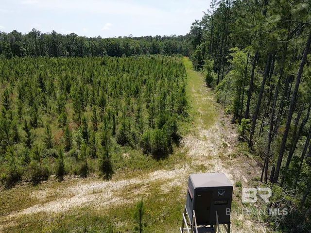 0 County Road 87, Robertsdale, AL 36567