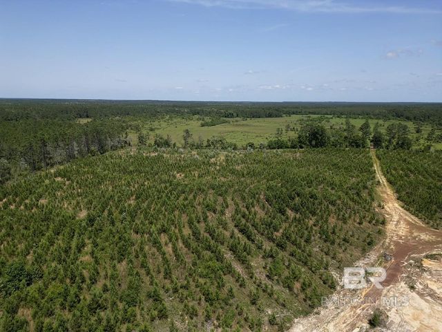 0 County Road 87, Robertsdale, AL 36567