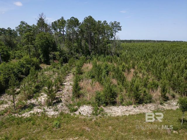 0 County Road 87, Robertsdale, AL 36567