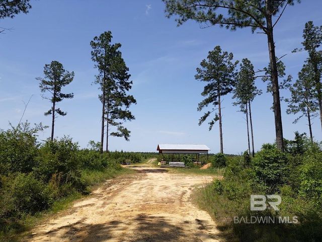 0 County Road 87, Robertsdale, AL 36567