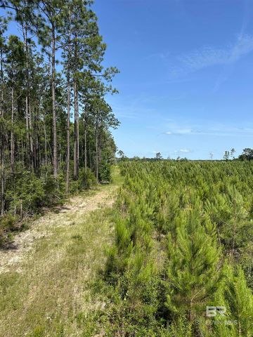0 County Road 87, Robertsdale, AL 36567