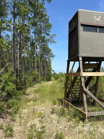 0 County Road 87, Robertsdale, AL 36567