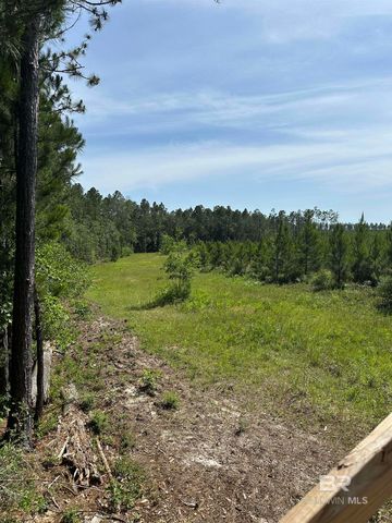 0 County Road 87, Robertsdale, AL 36567