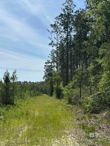 0 County Road 87, Robertsdale, AL 36567
