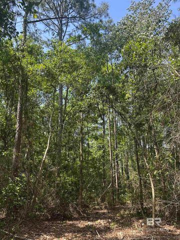 0 County Road 87, Robertsdale, AL 36567