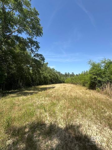 0 County Road 87, Robertsdale, AL 36567