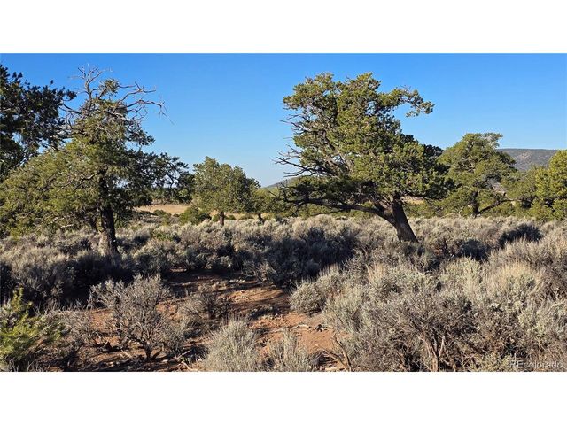 3714 Hartgrave Rd, Fort Garland, CO 81133
