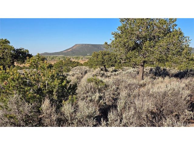 3714 Hartgrave Rd, Fort Garland, CO 81133