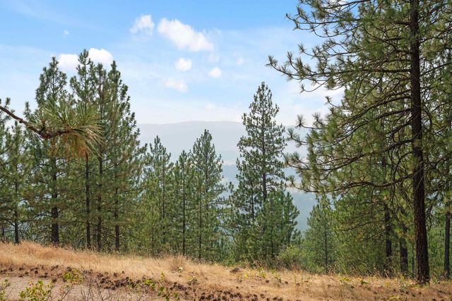 6885 Cummings Canyon Way, Tumtum, WA 99034