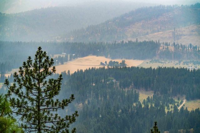 6885 Cummings Canyon Way, Tumtum, WA 99034