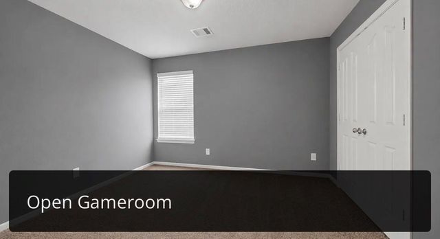 1717 Don Alejandro, Houston, TX 77091
