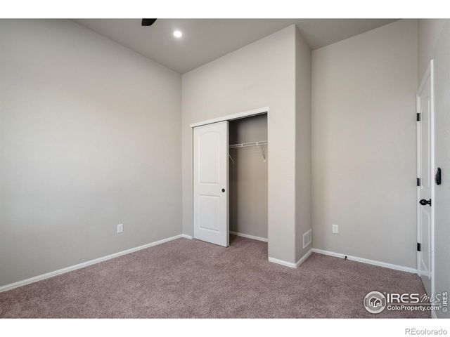 1319 Chamois Drive, Severance, CO 80550