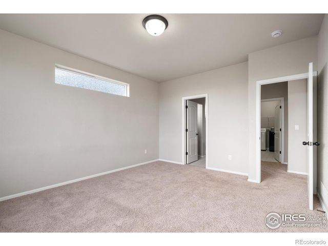 1319 Chamois Drive, Severance, CO 80550