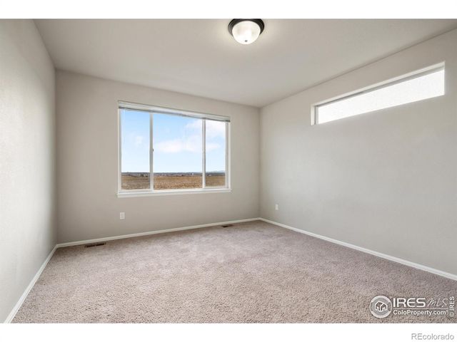 1319 Chamois Drive, Severance, CO 80550